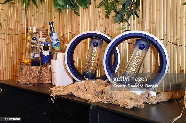 General view of atmosphere at day one of CIROC & MAHIKI backstage at V Festival at Hylands Park on August 22, 2015 in Chelmsford, England.