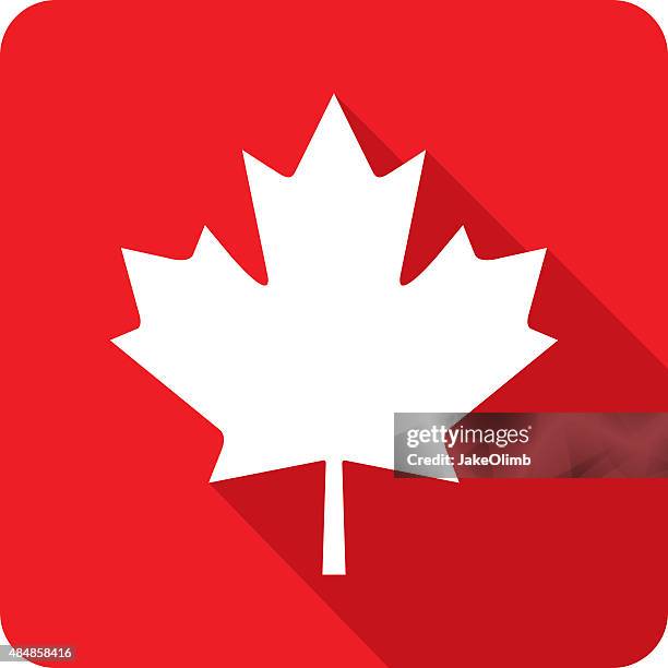 canadian maple leaf icon silhouette - canadian flag stock illustrations