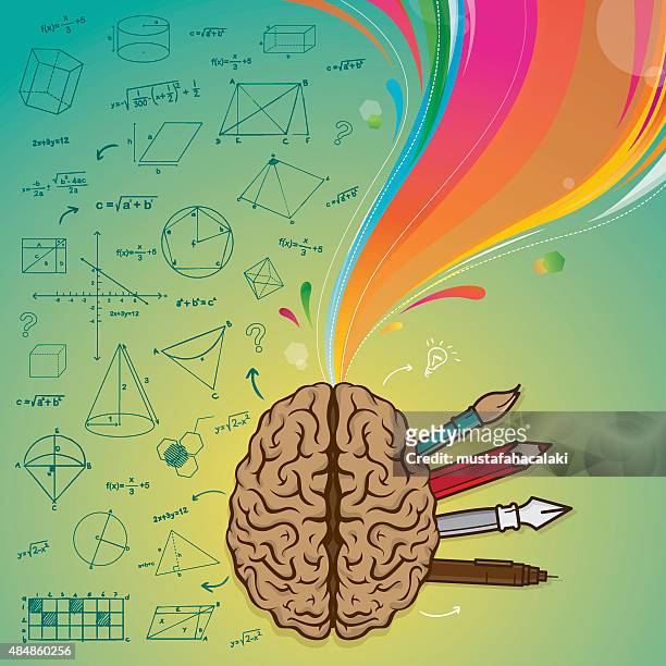 ilustrações de stock, clip art, desenhos animados e ícones de esquerda cérebro direito do cérebro - brain stem