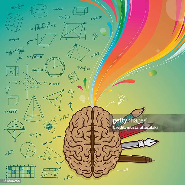 left brain right brain - brain diagram colour stock illustrations