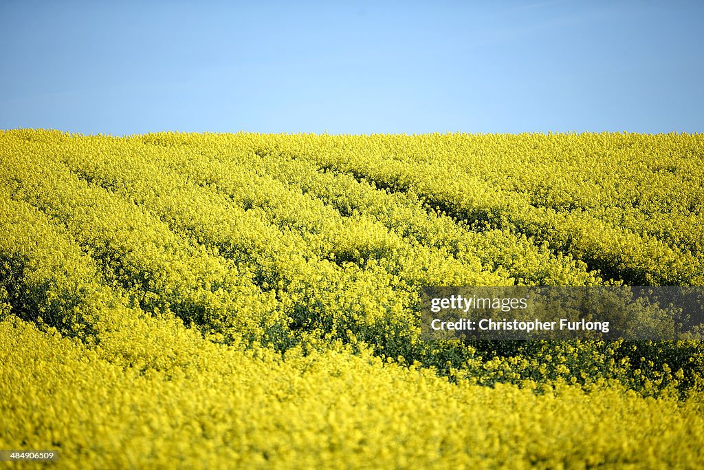 Price Of Farmland Rising Faster Than Prime London Property