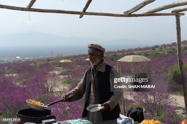 Charikar 166 Charikar City Stock Photos, High-Res Pictures, and Images - Getty ...