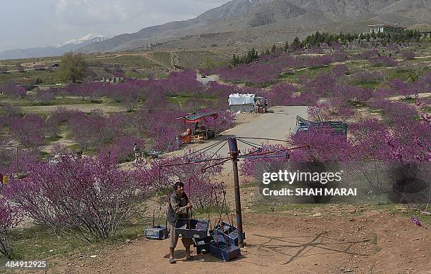 Charikar 166 Charikar City Stock Photos, High-Res Pictures, and Images - Getty ...