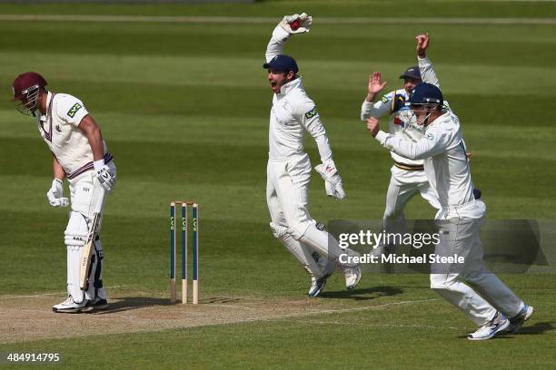 Alviro Petersen of Somerset is caught by wicketkeeper Andrew Hodd of Yorkshire off the bowling of Kane Williamson during day three of the LV County...