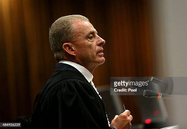 State prosecutor Gerrie Nel questions Oscar Pistorius during cross examination in the Pretoria High Court on April 15 in Pretoria, South Africa....