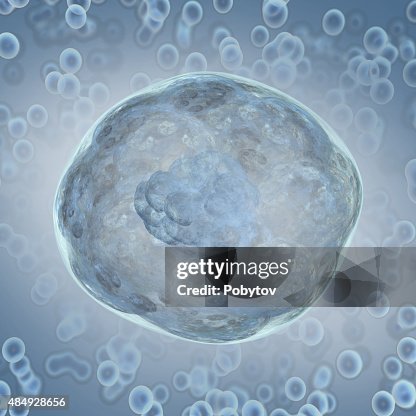 Cells under microscope Cells under microscope