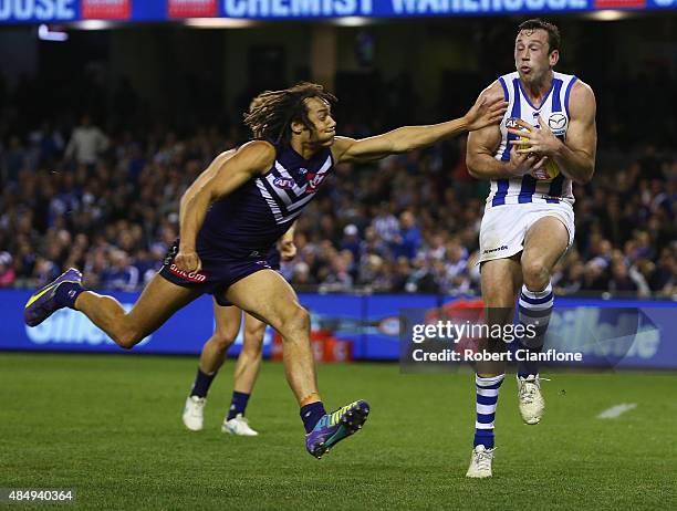 Todd Goldstein of the Kangaroos marks the ball in front of Tendai Mzungu of the Dockers during the round 21 AFL match between the North Melbourne...