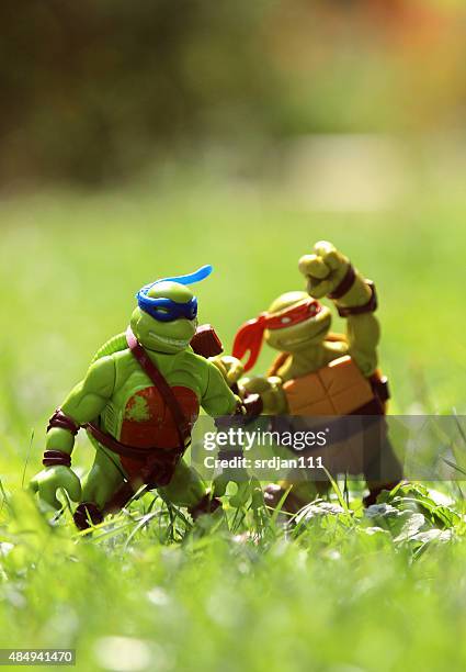 ninja turtles - ninja stock pictures, royalty-free photos & images