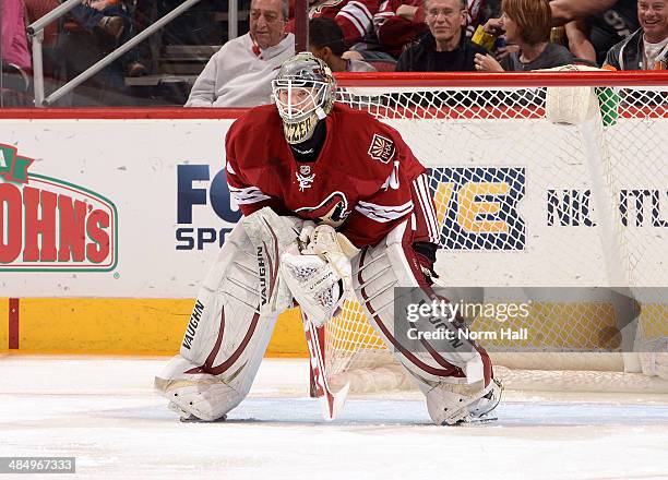 Mark Visentin of the Phoenix Coyotes gets ready to make a save against the San Jose Sharks at Jobing.com Arena on April 12, 2014 in Glendale,...