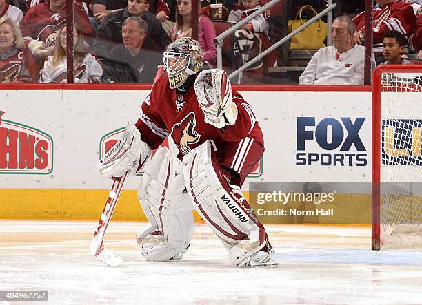 Mark Visentin of the Phoenix Coyotes gets ready to make a save against the San Jose Sharks at Jobing.com Arena on April 12, 2014 in Glendale, Arizona.