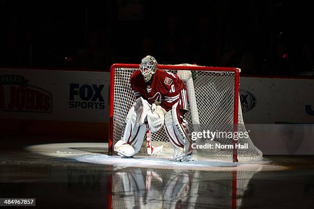 Mark Visentin of the Phoenix Coyotes gets ready for his first NHL start against the San Jose Sharks at Jobing.com Arena on April 12, 2014 in...