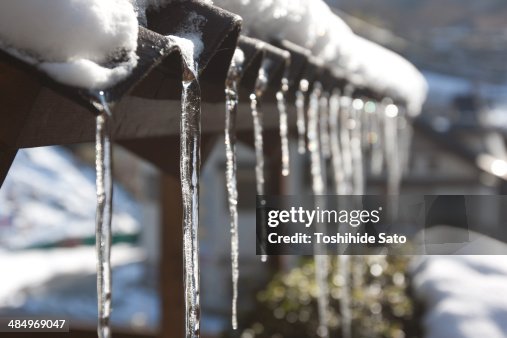 Icicles Icicles