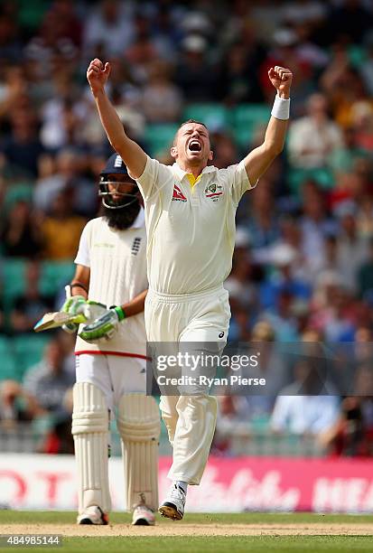 Peter Siddle of Australia celebrates after taking the wicket of Stuart Broad of England during day four of the 5th Investec Ashes Test match between...