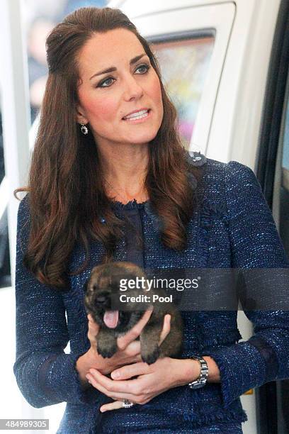 Catherine, Duchess of Cambridge holds a puppy during a visit to the Royal New Zealand Police College on April 16, 2014 in Wellington, New Zealand....