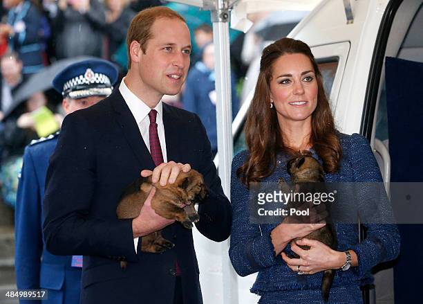 Prince William, Duke of Cambridge and Catherine, Duchess of Cambridge hold puppies during a visit to the Royal New Zealand Police College on April...