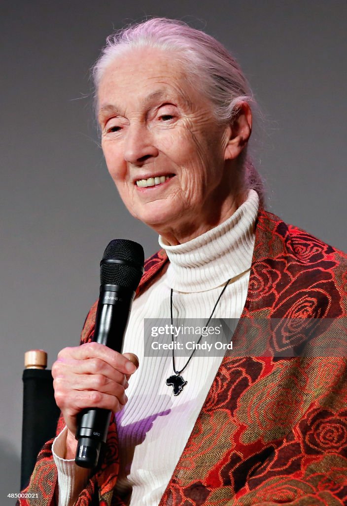 Apple Store Soho Presents:  Dr. Jane Goodall, Alastair Fothergill, And Keith Scholey, Disneynature's "Bears"