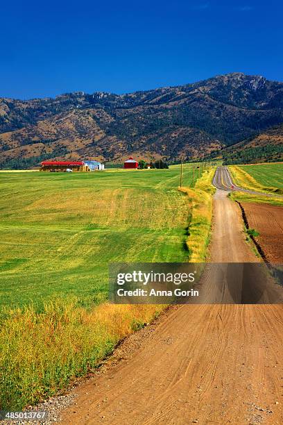 dirt road - bonneville county idaho stockfoto's en -beelden