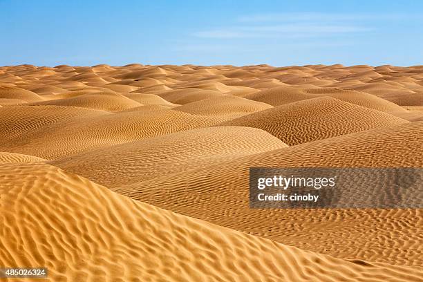 sea of sand in the sahara desert of tunisia - tunisia stock pictures, royalty-free photos & images