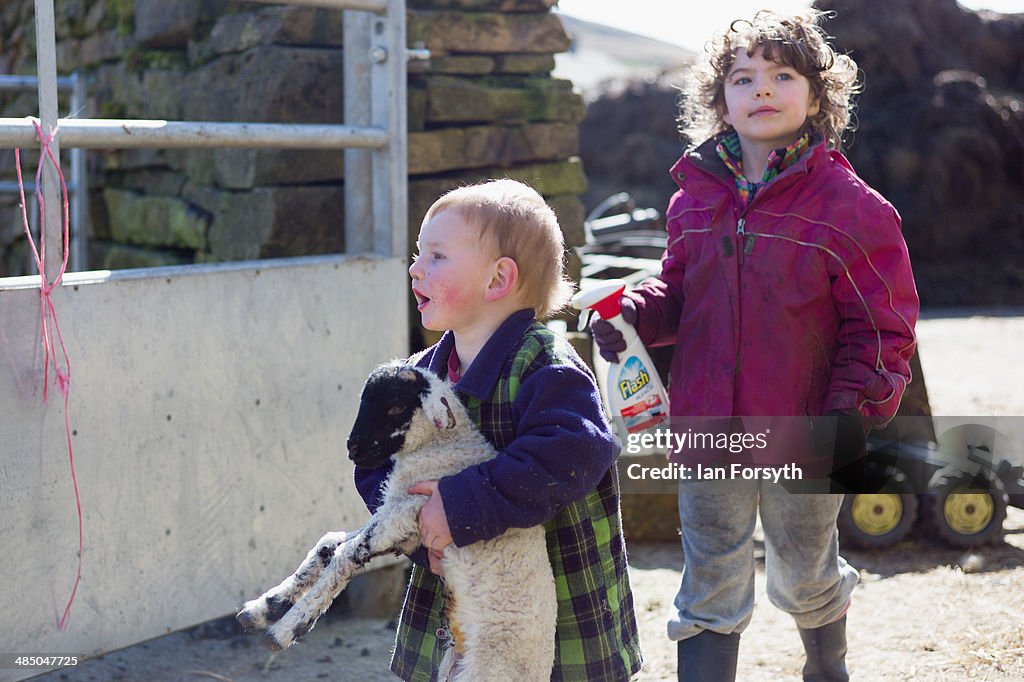 Daily Life Of A Shepherdess On The Yorkshire Moors