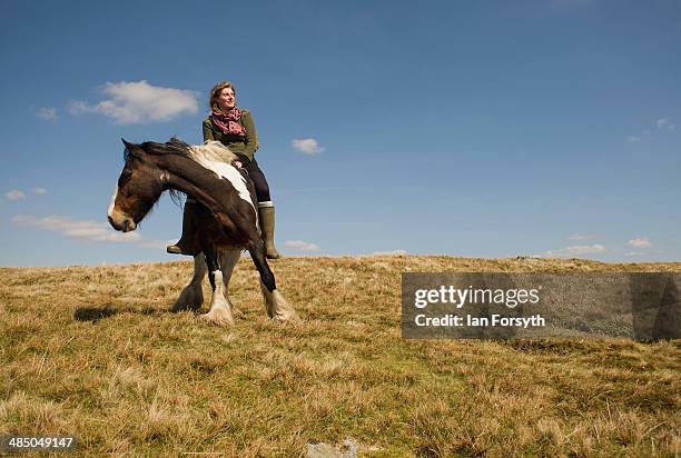 Yorkshire shepherdess Amanda Owen heads high onto the moors to feed the horses at Amanda's farm Ravenseat on April 15, 2014 near Kirkby Stephen,...