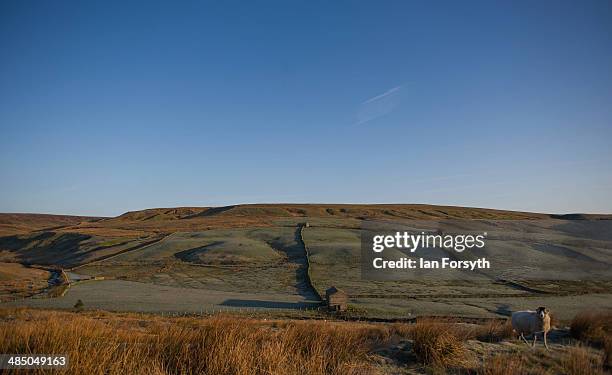 Fields next to Ravenseat farm belonging to Yorkshire shepherdess Amanda Owen are covered in frost at first light on April 15, 2014 near Kirkby...