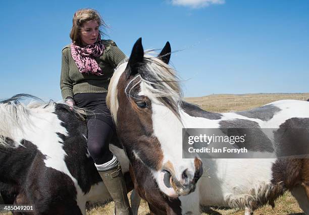 Yorkshire shepherdess Amanda Owen heads high onto the moors to feed the horses at Amanda's farm Ravenseat on April 15, 2014 near Kirkby Stephen,...