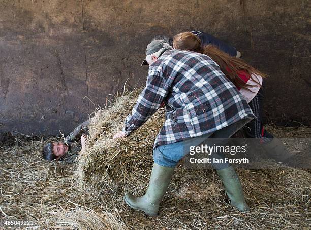 Miles Owen is covered in straw as he enjoys a joke with his family as they prepare fresh bedding for the sheep in a barn at Ravenseat, the farm of...