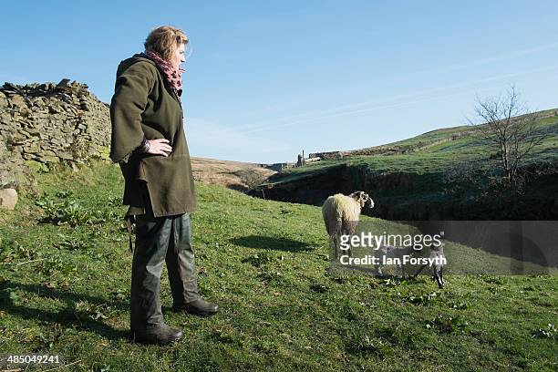 Yorkshire Shepherdess Amanda Owen checks on a couple of new lambs to see if they have bonded with their mother on April 15, 2014 near Kirkby Stephen,...