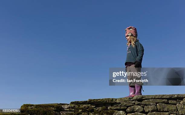 Violet Owen stands on a wall at Ravenseat, the farm of the Yorkshire Shepherdess Amanda Owen on April 15, 2014 near Kirkby Stephen, England. Amanda...