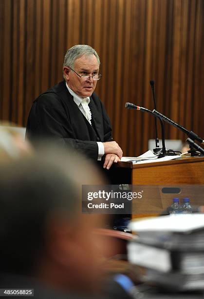 Prosecutor Gerrie Nel questions forensic expert, Roger Dixon, in the Pretoria High Court on April 16 in Pretoria, South Africa. Oscar Pistorius...