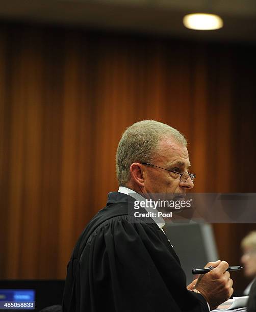 Prosecutor Gerrie Nel questions forensic expert, Roger Dixon, in the Pretoria High Court on April 16 in Pretoria, South Africa. Oscar Pistorius...