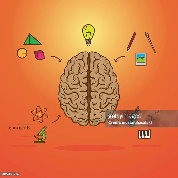 colourful left and right brain - cerebral hemisphere 幅插畫檔、美工圖案、卡通及圖標