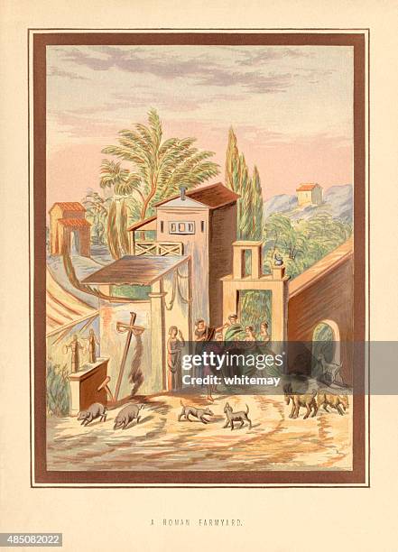 Roman Robi 1,107 Roman Robe Stock Photos, High-Res Pictures, and Images - Getty Images