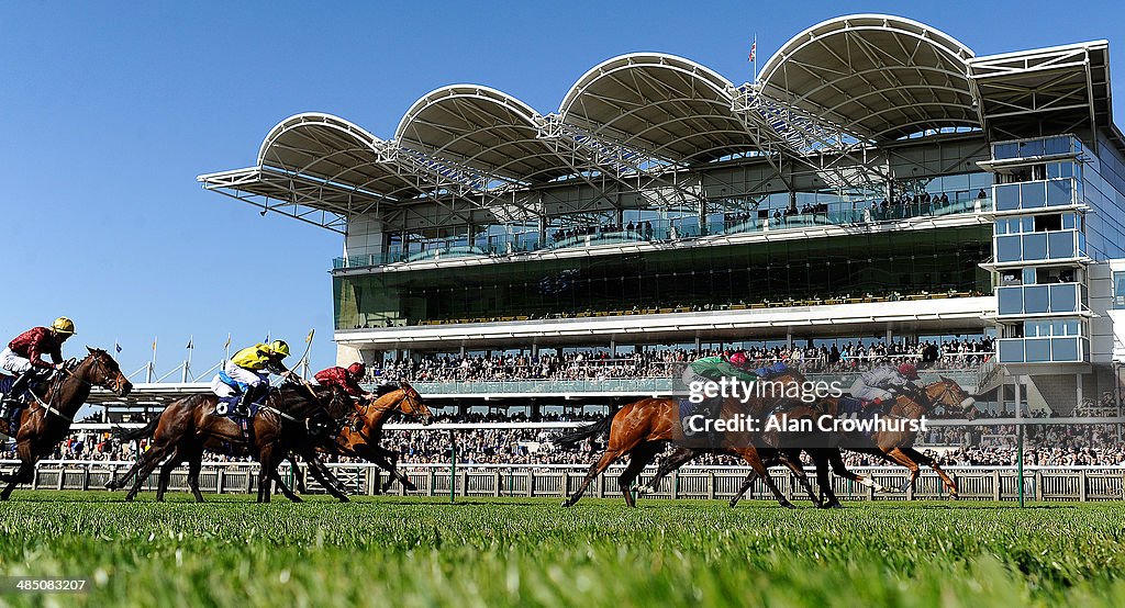 Newmarket Races