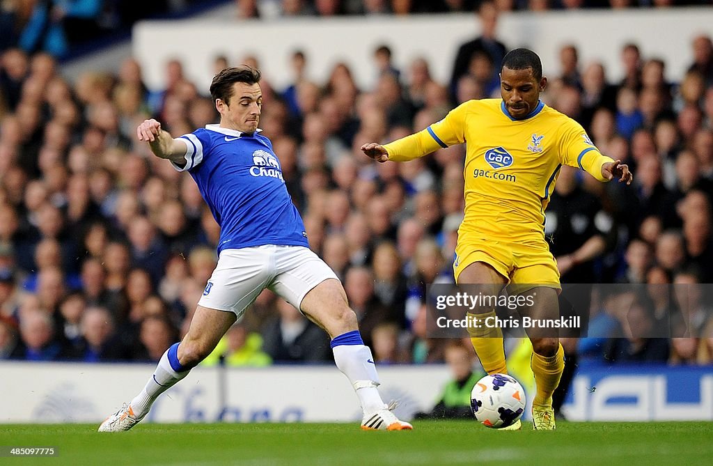 Everton v Crystal Palace - Premier League