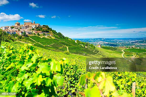 barolo vineyards - piedmont stock pictures, royalty-free photos & images