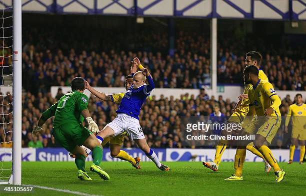 Steven Naismith of Everton scores their first goal past Julian Speroni of Crystal Palace during the Barclays Premier League match between Everton and...
