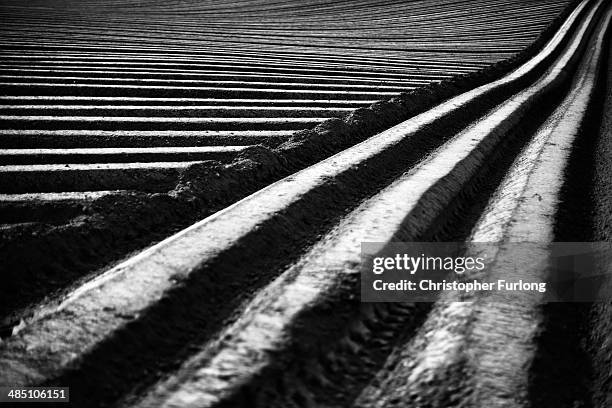 Symmetrical lines of freshly planted potato furrows cross the countryside in a field on April 16, 2014 in Great Budworthy, United Kingdom.