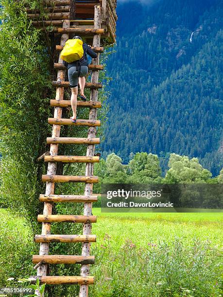 woman climbing on observation point in rural austria - fellbach bildbanksfoton och bilder