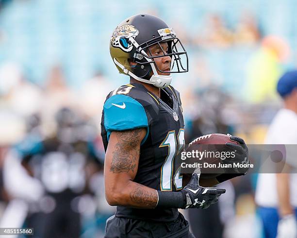 Wide Receiver Rashad Greene of the Jacksonville Jaguars during a preseason game against the Pittsburgh Steelers at EverBank Field on August 14, 2015...