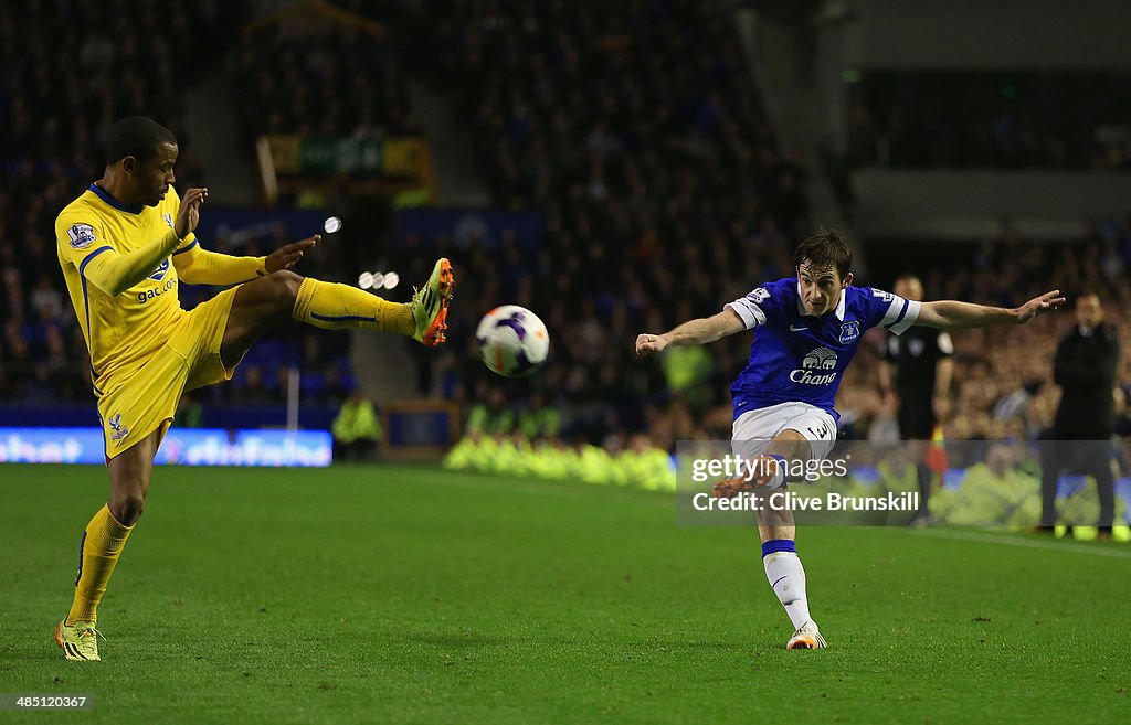 Everton v Crystal Palace - Premier League