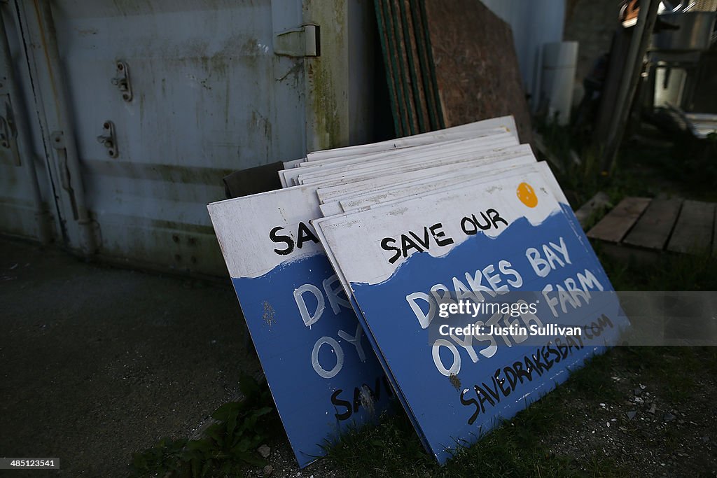 Bay Area Oyster Farm Takes Appeals Of Federal Waters Use Case To Supreme Court