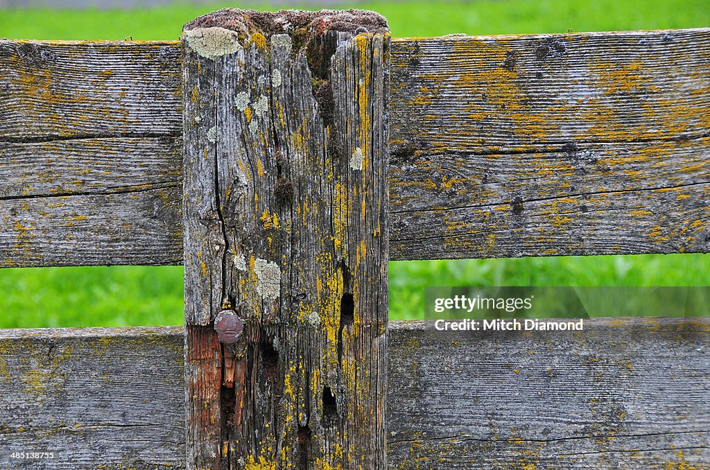 Fence