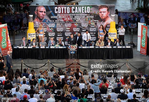 Contender Canelo Alvarez speaks during a news conference after announcing the WBC middleweight title bout with current WBC champion Miguel Cotto on...