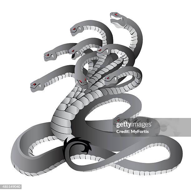 ilustrações, clipart, desenhos animados e ícones de o hydra - hidra