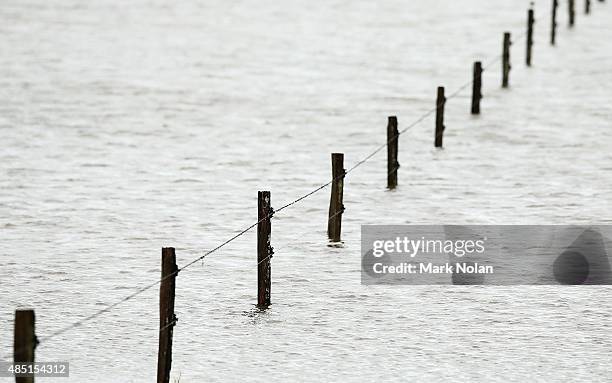 The Minumurra River floods farm land on August 25, 2015 in Jamberoo, Australia. Residents downstreamm of the Jerra dam which feeds into the river...