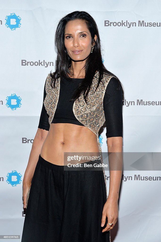 4th Annual Brooklyn Museum Brooklyn Artists Ball