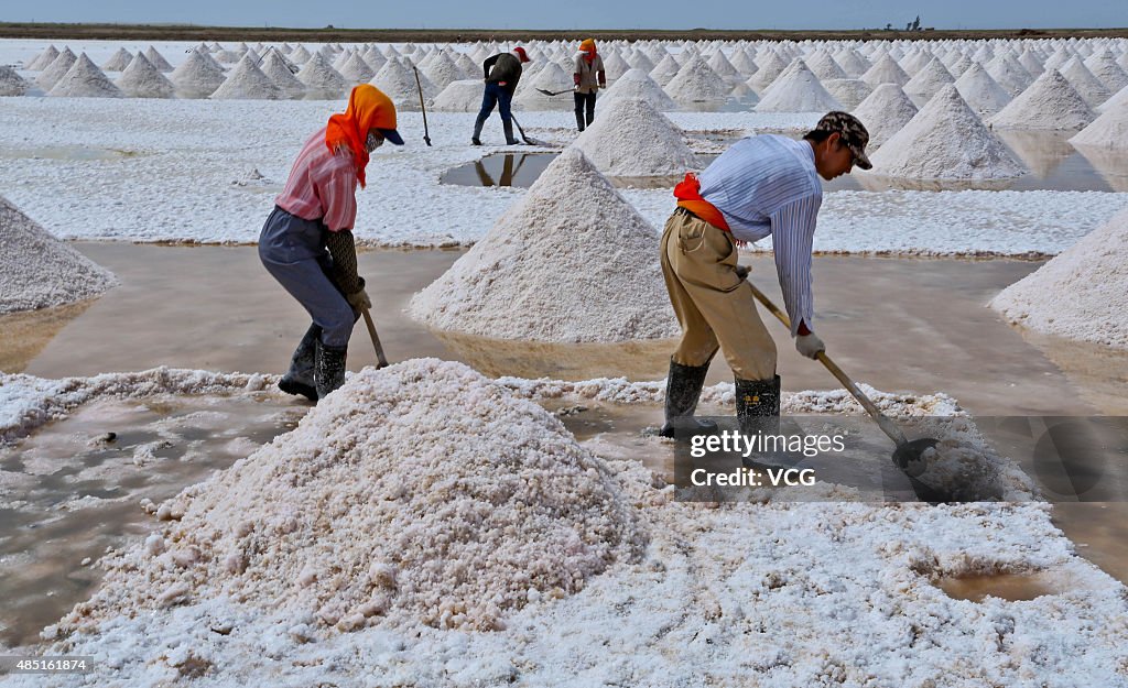 Salt Pond In Gansu