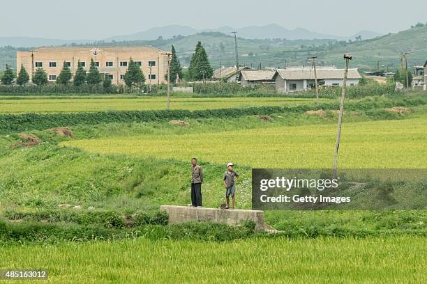 People rest in field on August 24 North Korea. North and South Korea today came to an agreement to ease tensions following an exchange of artillery...