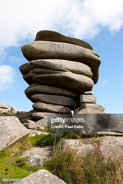 windswept - bodmin moor stock pictures, royalty-free photos & images